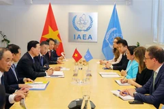 IAEA impressed by Vietnam’s capabilities, engagement: Acting Director General