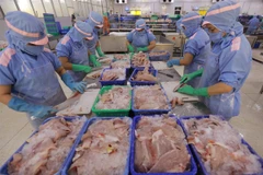 UKVFTA stimulates growth in Vietnam’s export-oriented industries