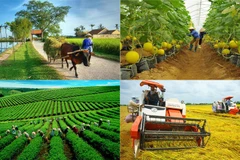 Agriculture sector continues to focus on three key programmes