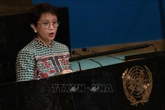 Indonesia aims to push regional inclusive cooperation as ASEAN chair