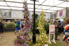 First OV wins high prize at world’s most prestigious floral competition​