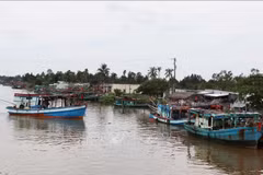 Ca Mau resolutely combats IUU fishing
