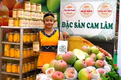 Domestic trade to grow at 8-9% a year: MoIT