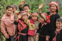 UN official hails Vietnam’s efforts in caring for children