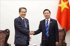 Vietnam, Japan step up cooperation in energy transition