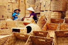 Vietnamese firms get support to protect intellectual property abroad