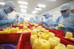 Good signs seen in fruit, vegetable export