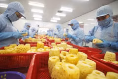 Good signs seen in fruit, vegetable export