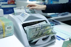 Deputy PM urges hastened procedures for cancelled IDA loans
