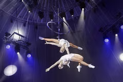 Artists help Vietnamese circus win global respect