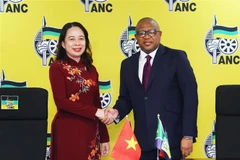 Vice State President active in South Africa