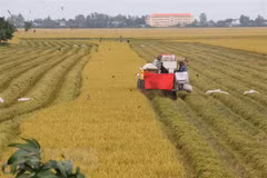 Vietnam, Turkey seek to promote trade partnership