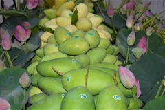 Dong Thap’s exports post record high growth in 2022