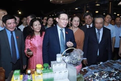 Vietnam craft villages festival opens 
