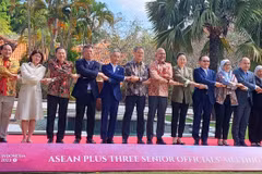 Vietnam attends ASEAN senior officials’ meetings in Indonesia