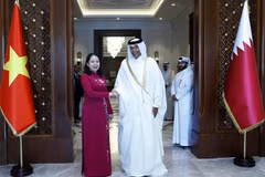 Vietnam looks to promote comprehensive cooperation with Qatar: Vice President