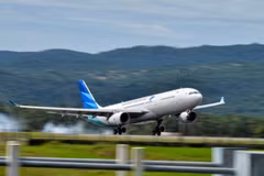Indonesia flies first commerial flight using palm oil-blended jet fuel