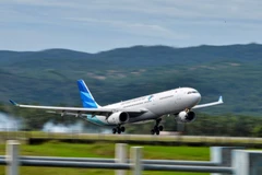 Indonesia flies first commerial flight using palm oil-blended jet fuel