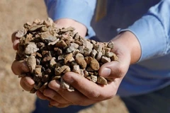 Seminar highlights rare earth research, application results