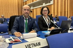 Vietnam attends 20th session of UNIDO General Conference