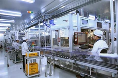 Korean expert upbeat about RoK-Vietnam economic cooperation