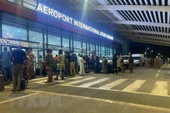 Vietnamese citizens in Niger remain safe, one requests evacuation