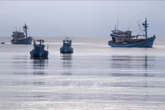 Tien Giang's fishing vessels strictly follow regulations, curbing IUU fishing