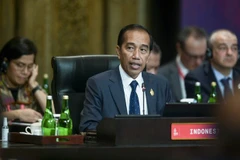 Indonesia pushes coal-to-DME downstreaming investment