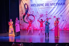 Vietnamese art, culture spotlighted in Morocco