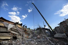 Vietnamese team race with time to save quake survivors 
