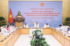 Joint efforts made to put in place specific mechanisms, policies for HCM City