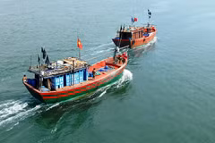 Vietnam to host EC inspection team for anti-IUU fishing in October