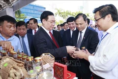 Ha Tinh asked to turn potential, advantages into growth motivation 