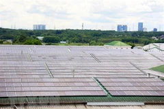 Forum talks building of regulatory sandbox for circular economy development
