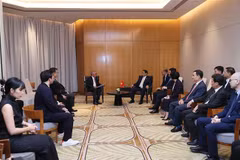 PM receives leaders of major enterprises of Indonesia