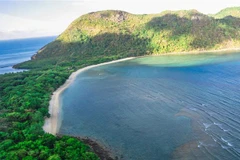 Sea turtle nesting season starts at Con Dao National Park