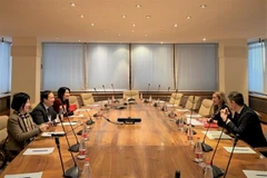 Vietnam in Italian groups' strategic priority list