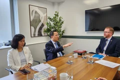Vietnam, Northern Ireland forge multi-faceted cooperation
