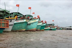 Ca Mau works hard against IUU fishing
