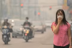 Thailand installs PM2.5 filtration machines in capital city