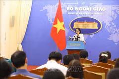 No Vietnamese casualties recorded in Morocco, Libya following disasters: spokeswoman
