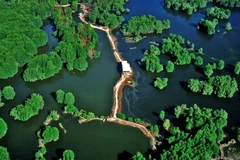 HCM City’s Can Gio reserve nominated as Ramsar site