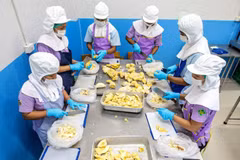 Thailand reduces visa, stay fees for workers from SE Asia