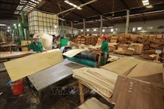 Wood sector urged to step up trade promotion