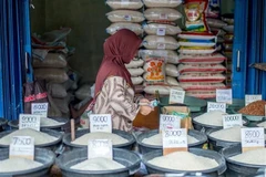 Indonesia’s growth rate predicted at 5.1% this year