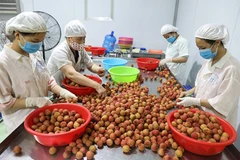 Compliance with quality standards – a must to bolster fruit exports: insiders 