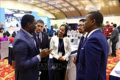 Vietnam an outstanding example in implementing SDGs: Foreign MPs
