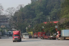 Border gates in Lang Son province maintain regular operations