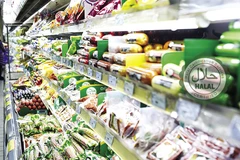 Vietnam’s potential for Halal industry untapped