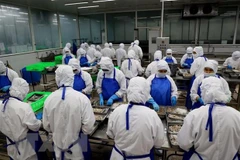 RCEP creates new impetus for regional economic development